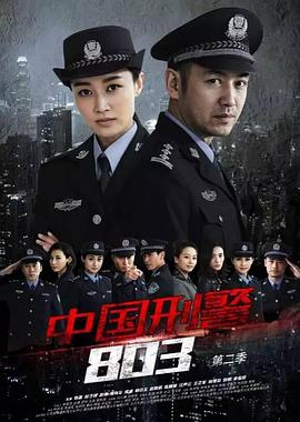 中国刑警803英雄本色片