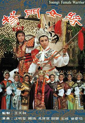 杨门女将(粤语)