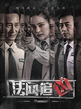 法网追凶第二季片