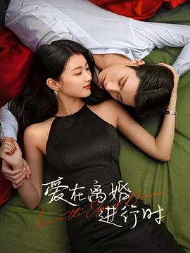 爱在离婚进行时片