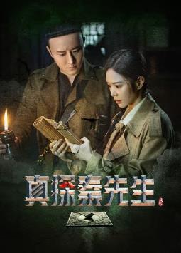 真探秦先生片