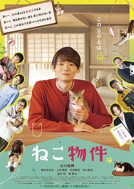 猫物件片