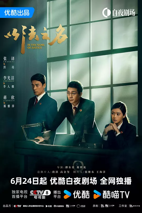 以法之名剧集封面
