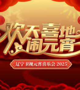 2025辽宁卫视元宵晚会片
